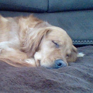 Meet your Posher, Mallory